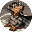 Chris W. profile picture